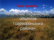 Творческий проект